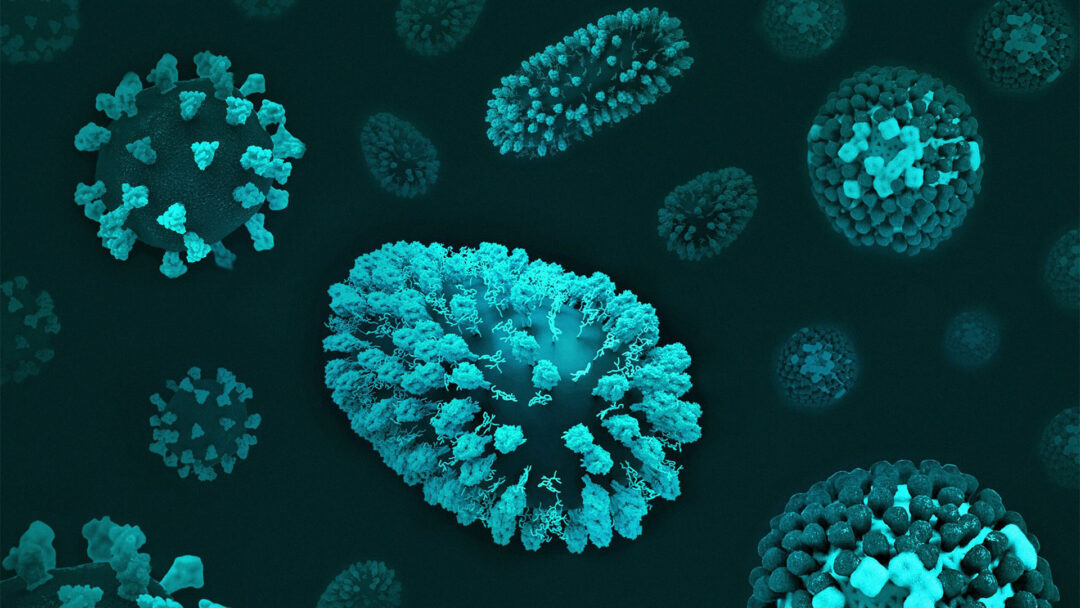 Hematological malignacies